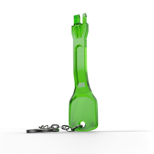 LINDY Schlüssel für RJ45 Port Schloss, grün