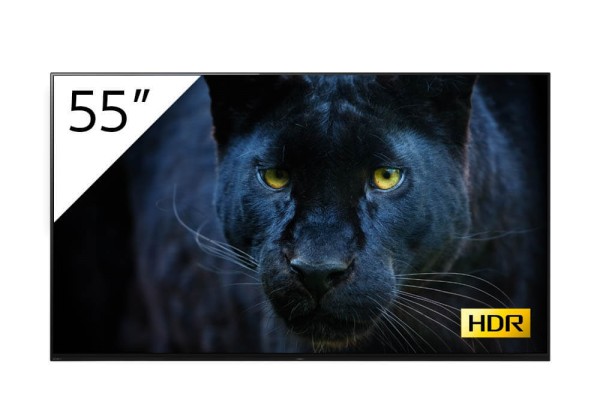 Sony BRAVIA FWD-55A8-T 4K-HDR OLED Prof.-Display 55''