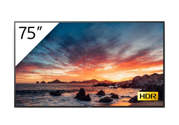 Sony BRAVIA FWD-75X80H-T 4K-HDR LED Prof.-Display 75''